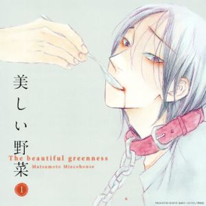 Utsukushii Yasai 1 Cover