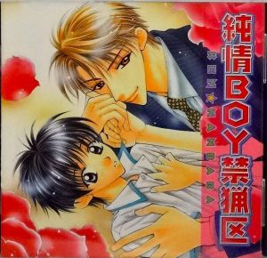 Junjou Series 1 Junjou Boy Kinryouku Cover