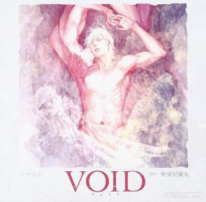 VOID Cover