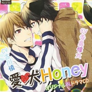 Aiken Honey Cover